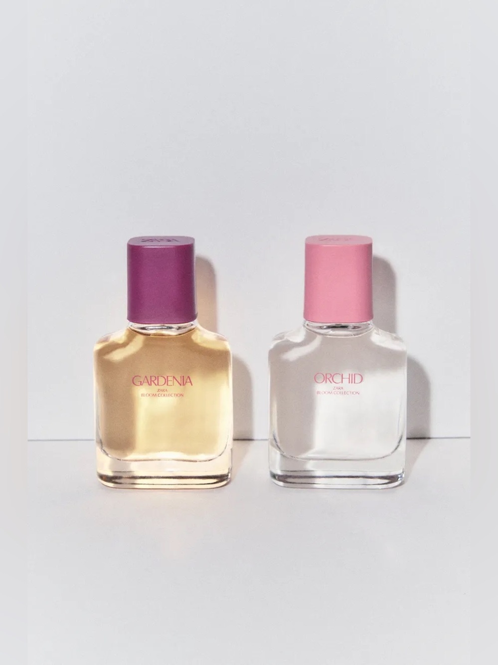 Zara Gardenia & Orchid Bloom Collection - Picture 2 of 8